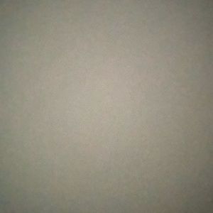 Meet your Posher, Daisy